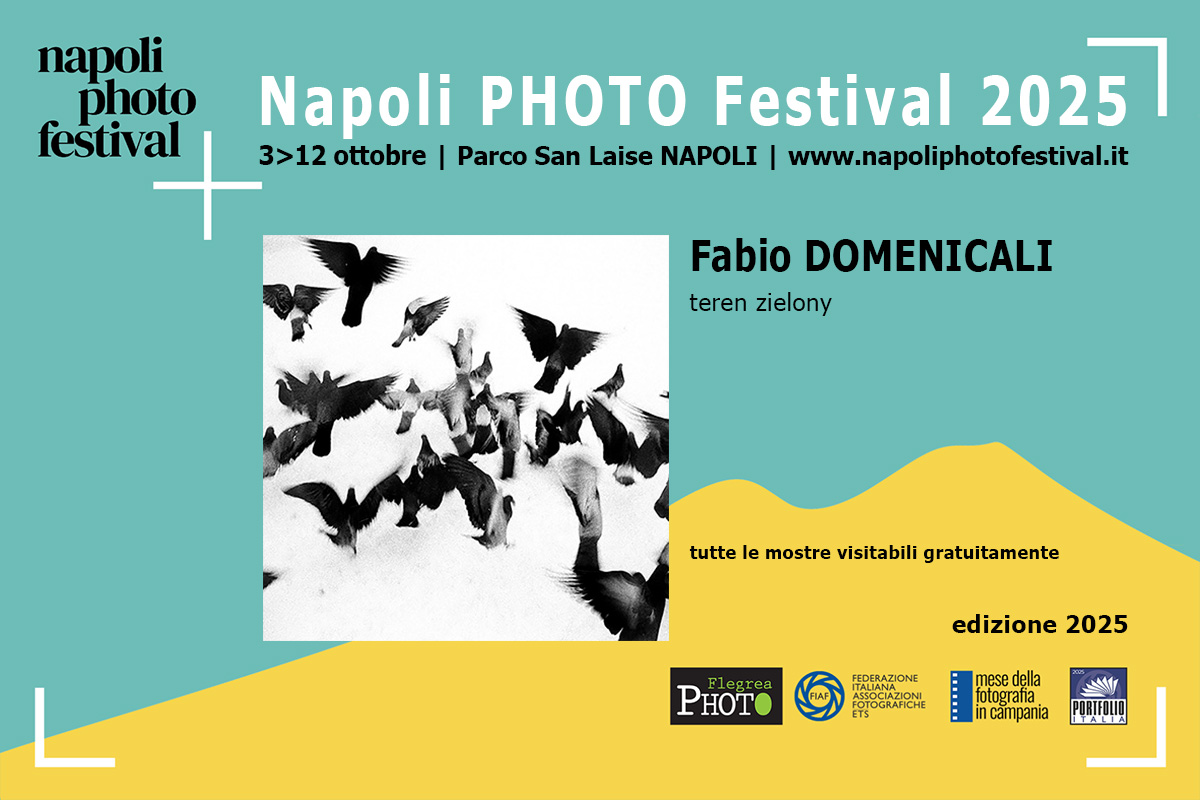 Fabio DOMENICALI | teren zielony